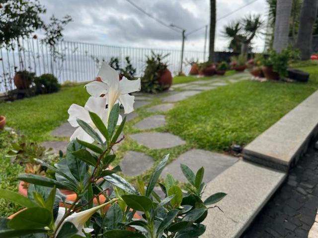 Zeza'S Garden Villa Calheta  Buitenkant foto