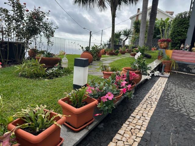 Zeza'S Garden Villa Calheta  Buitenkant foto